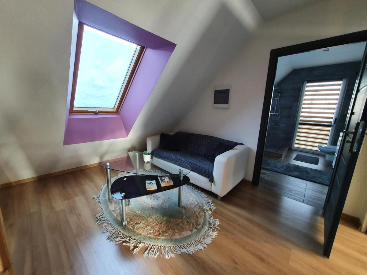 Nowy Dom Apartament Z Widokiem Na Gory 8 Osob Bielsko-Biala Exterior foto
